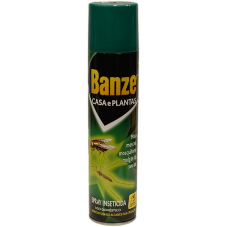 Banzé casa e plantas