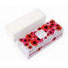 Conjunto Poppy Lovers